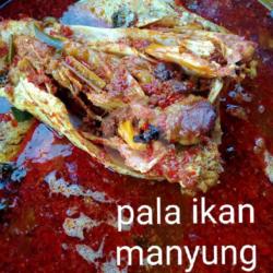 Pala Ikan Manyung