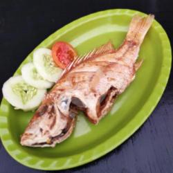 Ikan Kakap Merah Goreng