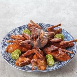 Burung Dara Jit  Lok Jun ( Perekor )