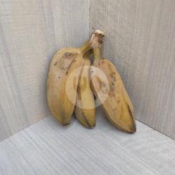 Pisang Rebus