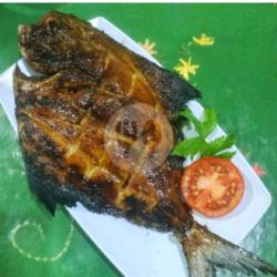 Kakap Laut Bakar