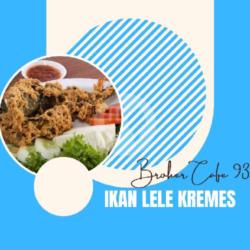 Ikan Lele Kremes