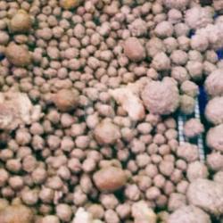 Bakso Kiloan
