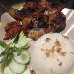 Nasi Burung Dara Bakar