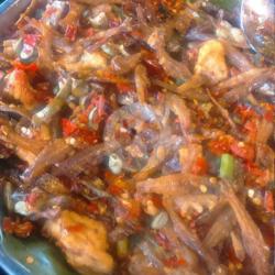 Teri Balado