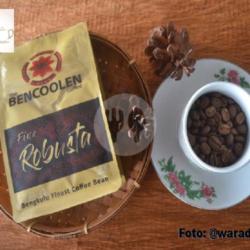 Bencoolen Fine Robusta Powder 100gr