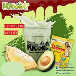 Pucok Dancow Medium