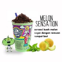 Melon Sensation