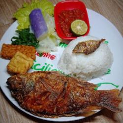 Tempong Nila