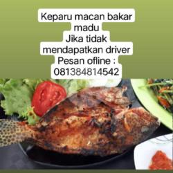 Kerapu Macan Bakar Madu