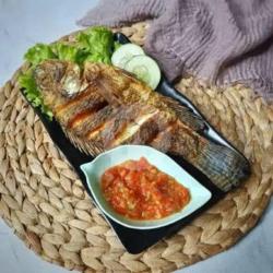 Nila Goreng Nasi Sambel Terasi