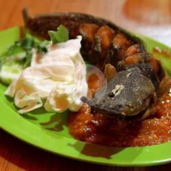 Lele Sambal Terasi Matang