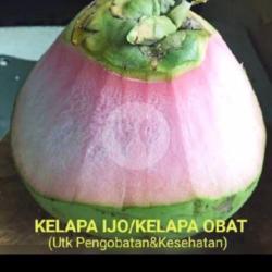 Kelapa Obat Merah