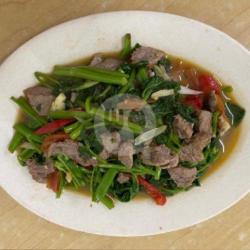 Sapi Cah Kangkung