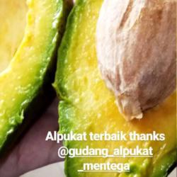 Alpukat Mentega Matang