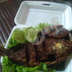 Paket Ikan Mujaer Sambal Kecap