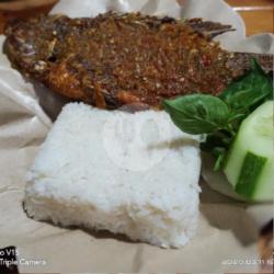 Nasi Nila ( Tahu , Tempe Atau Terong )