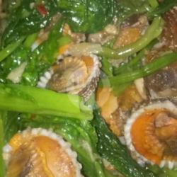 Cah Kangkung Kerang