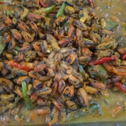 Tumis Kerang Laut