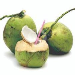 Kelapa Bulat