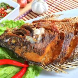 Pecel Ikan Nila Goreng Nasi Putih