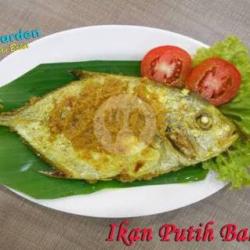 Ikan Talang Bakar