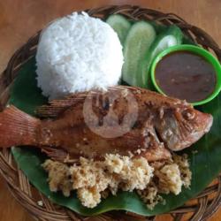 Nasi   Ikan Nila Bakar Spesial   Tahu/tempe   2 Varian Sambal   Lalapan   Free Sayur Asem