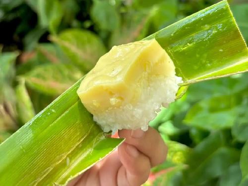 Ketan Duren Ala Nana Surabaya, Jl Tambak Medokan Ayu