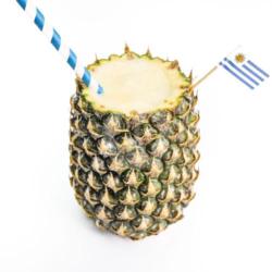 Virgin Pinacolada