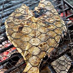 Ikan Bakar ( Grill Fish) Xtra Large