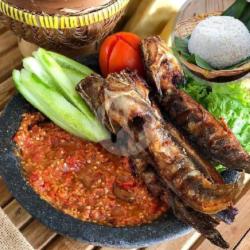 Ikan Lele Goreng Tanpa Nasi