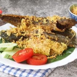 Lele Goreng Kremes Sambel Terasi Matang Nasi Lalapan