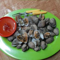 Kerang Dara Rebus