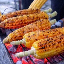 Jagung Bakar Balado