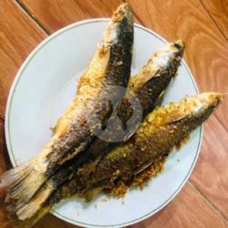 Ikan Belanak