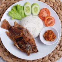 Ikan Jaer Goreng Ngaciiiir Nasi