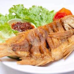 Ikan Gurami Goreng Kremes