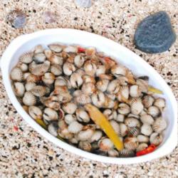 Kerang Darah Saus Tiram