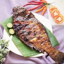 Ikan Sebelah Bakar  Medium