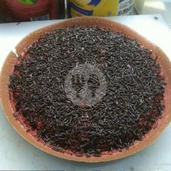 Coklat Susu Red Velvet