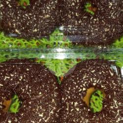 Donat Jadul (isi 2)