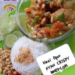 Nasi Opor Ayam Crispy Mercon