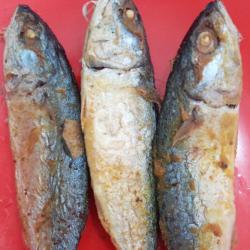 Ikan Kembung Banjar