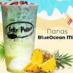 Nanas Blueocean Mix