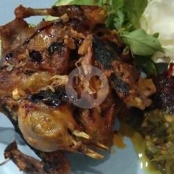 Burung Dara Bakar Nasi