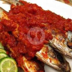 Ikan Cuwe Pedes Dikit