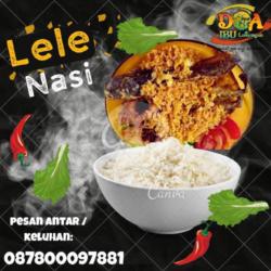 Pecel Lele Kremes Nasi