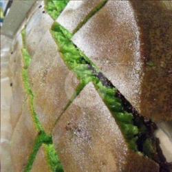 Pandan Wijen Coklat Susu