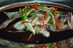 Ikan Krapu Tim Hongkong