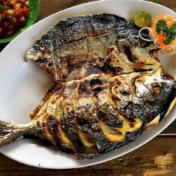 Ikan Bawal Mas Bakar